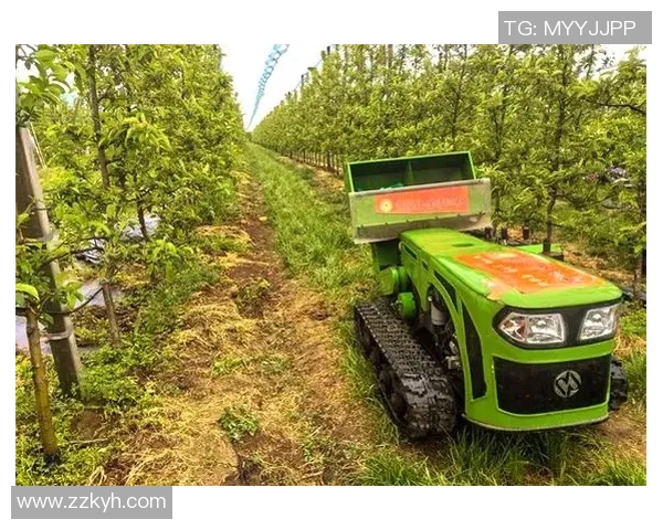 果园生态循环与可持续发展：从种植到收获的全链条探索与实践